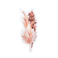 dried pampas water resistant sticker
